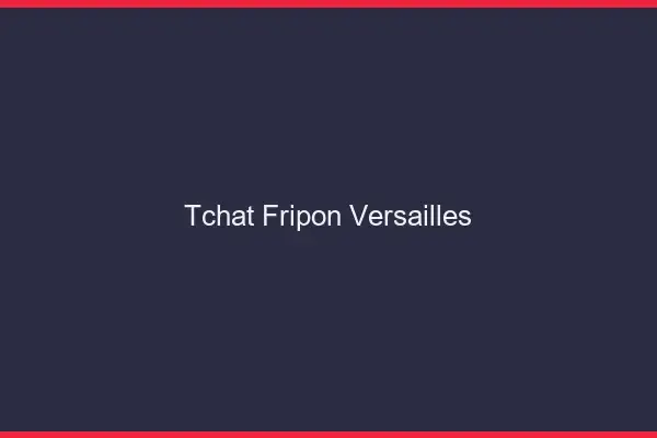 Tchat Fripon Versailles