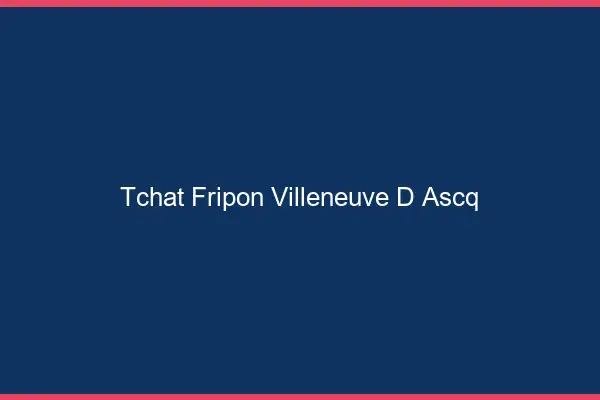 Tchat Fripon Villeneuve-d'Ascq
