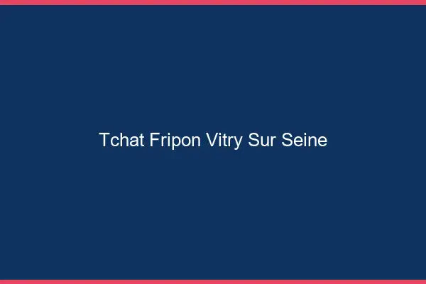 Tchat Fripon Vitry-sur-Seine
