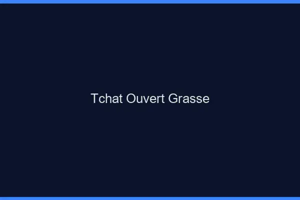 Tchat Ouvert Grasse