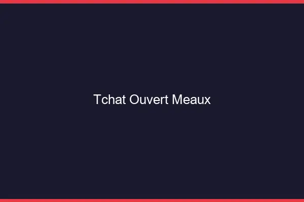 Tchat Ouvert Meaux
