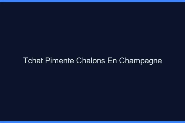Tchat Pimenté Châlons-en-Champagne