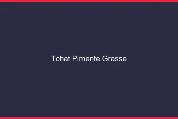 Tchat Pimenté Grasse