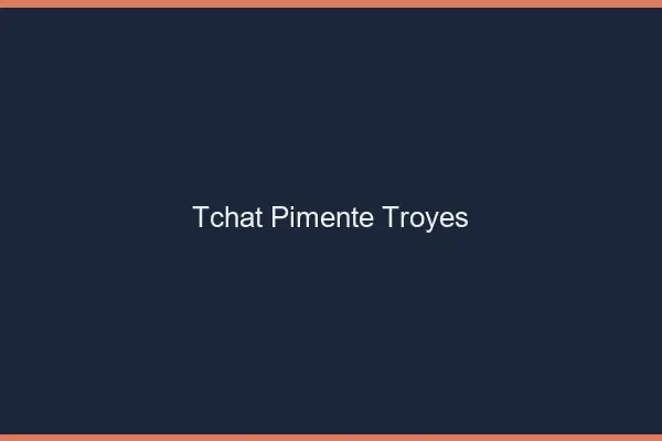 Tchat Pimenté Troyes