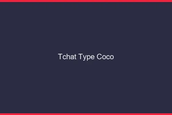 Tchat Type Coco